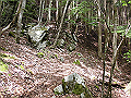 nakatu049_thumb.png