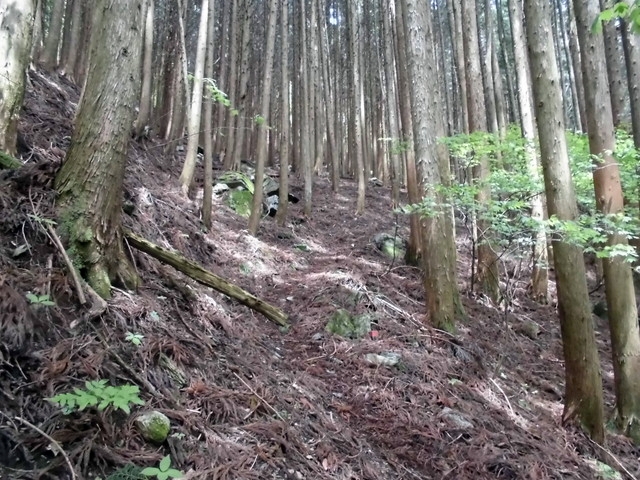 nakatu050.jpg