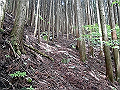 nakatu050_thumb.png
