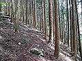 nakatu052_thumb.png
