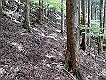 nakatu053_thumb.png