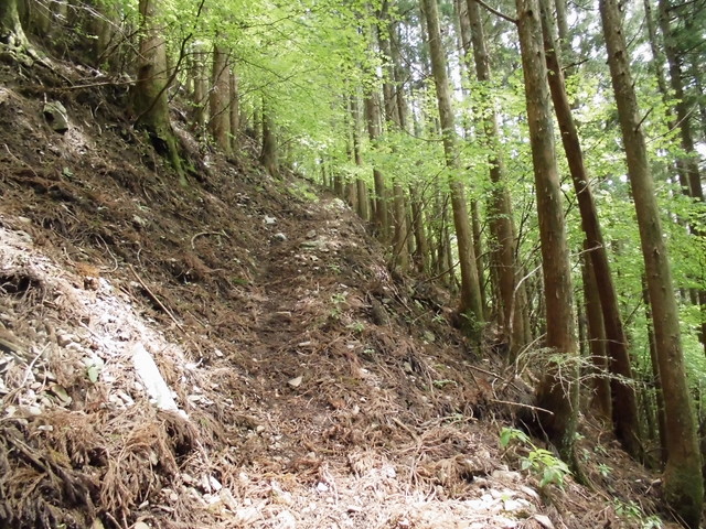 nakatu054.jpg