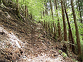 nakatu054_thumb.png