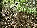 nakatu055_thumb.png