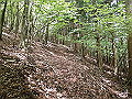 nakatu056_thumb.png