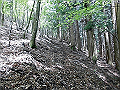 nakatu057_thumb.png