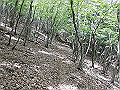 nakatu058_thumb.png