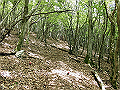 nakatu059_thumb.png