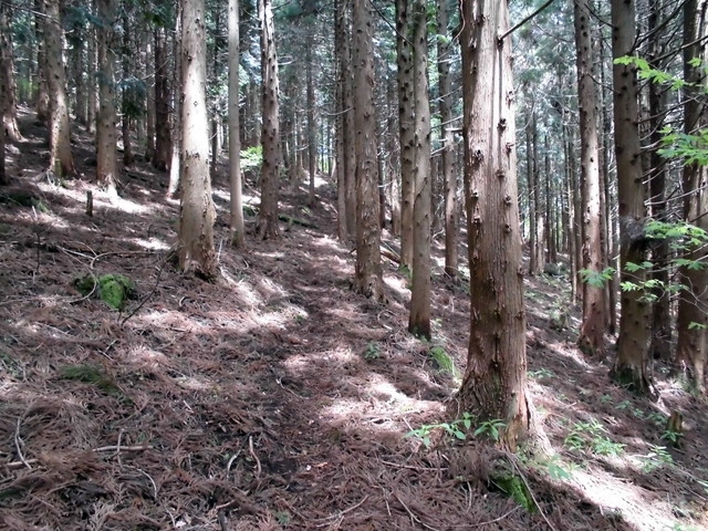 nakatu060.jpg