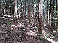 nakatu060_thumb.png