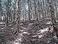 nakatu062_thumb.png