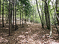 nakatu065_thumb.png