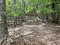 nakatu066_thumb.png