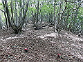 nakatu068_thumb.png