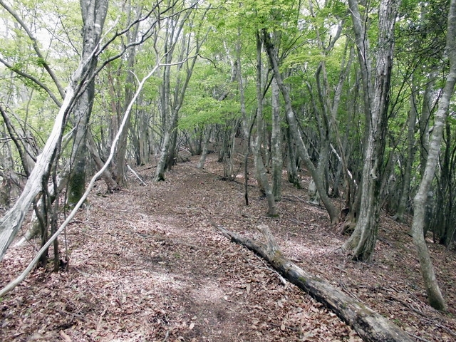 nakatu069.jpg