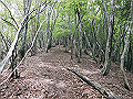 nakatu069_thumb.png