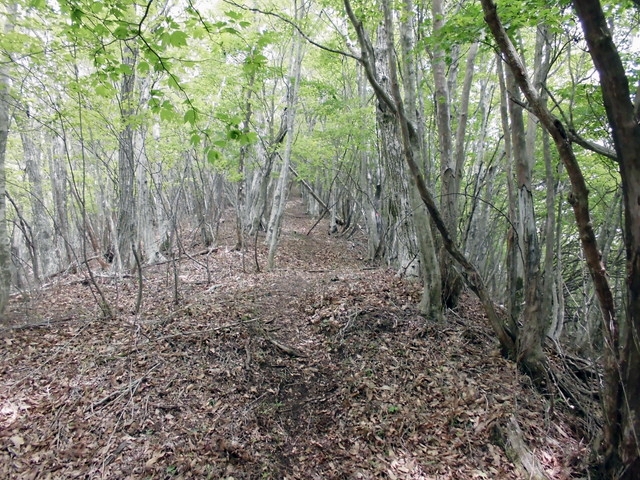 nakatu070.jpg