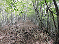 nakatu070_thumb.png
