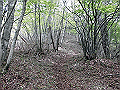 nakatu072_thumb.png