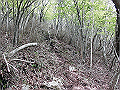nakatu074_thumb.png