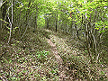 nakatu075_thumb.png