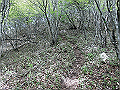 nakatu076_thumb.png