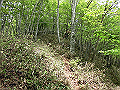 nakatu077_thumb.png