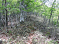 nakatu078_thumb.png