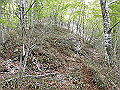 nakatu080_thumb.png