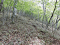nakatu081_thumb.png