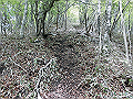 nakatu082_thumb.png