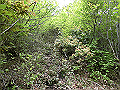 nakatu083_thumb.png