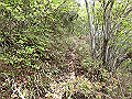 nakatu084_thumb.png