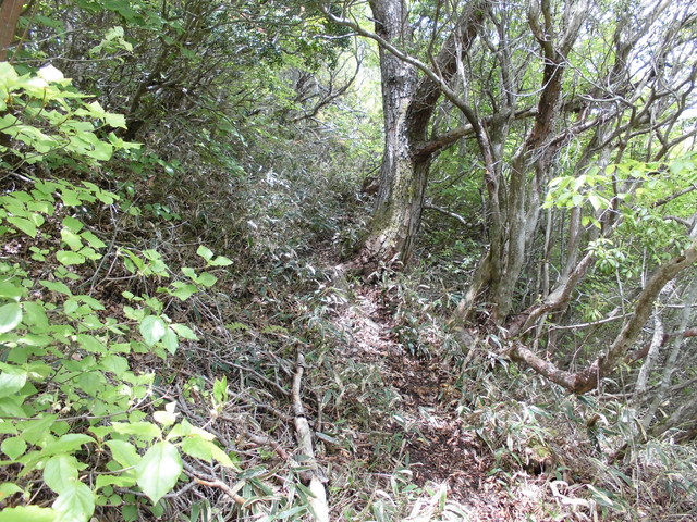nakatu085.jpg