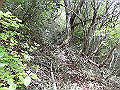 nakatu085_thumb.png