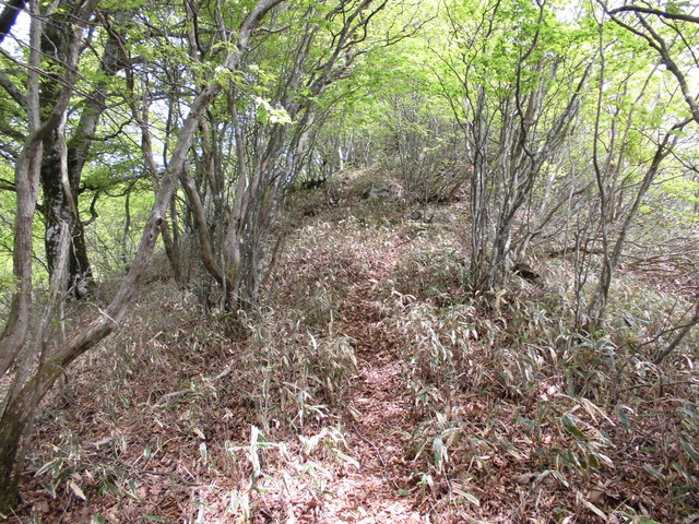 nakatu086.jpg