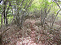 nakatu086_thumb.png