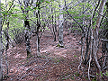 nakatu089_thumb.png