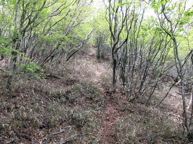 nakatu090.jpg