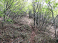 nakatu090_thumb.png