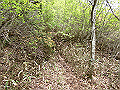 nakatu091_thumb.png
