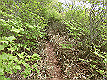 nakatu092_thumb.png