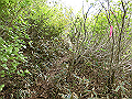 nakatu093_thumb.png
