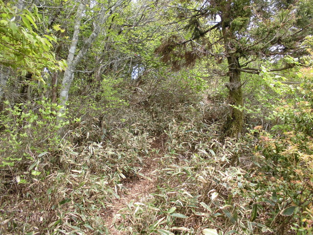 nakatu094.jpg