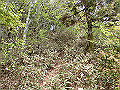 nakatu094_thumb.png