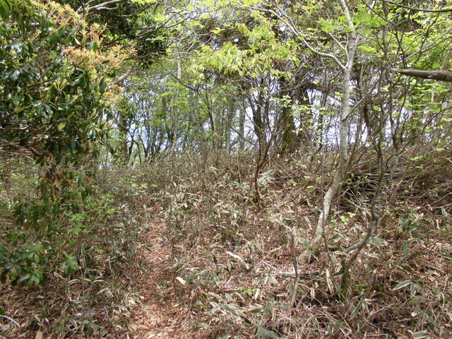 nakatu095.jpg