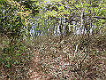 nakatu095_thumb.png