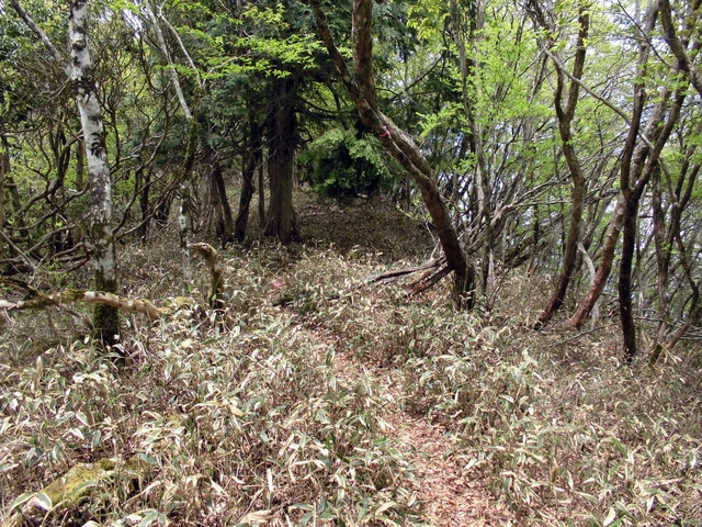 nakatu097.jpg