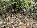 nakatu097_thumb.png