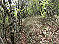 nakatu098_thumb.png